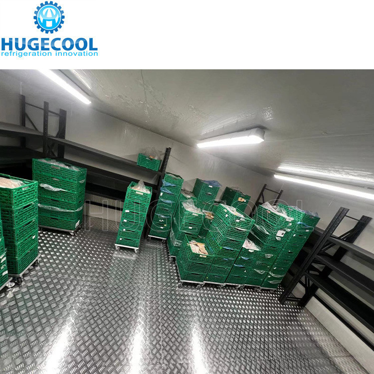 Assembled Structure Customization Cold Storage Room for Chicken Vegetables and Fruits