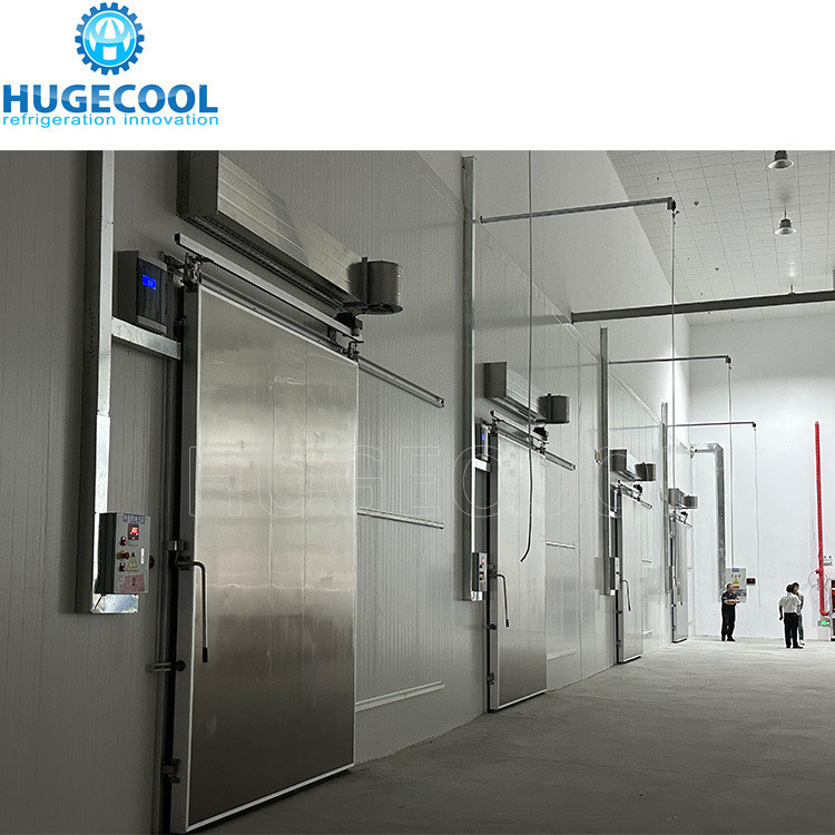 2*2.5m Walk in Cooler Manual Sliding Door with Ramp and Safety Device Escape Lock