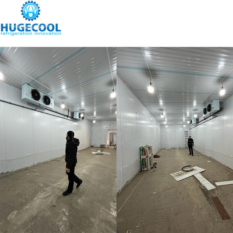 2*2*3m Small Cold Storage Room with Walk-in Function and Freon Refrigerant Compressor