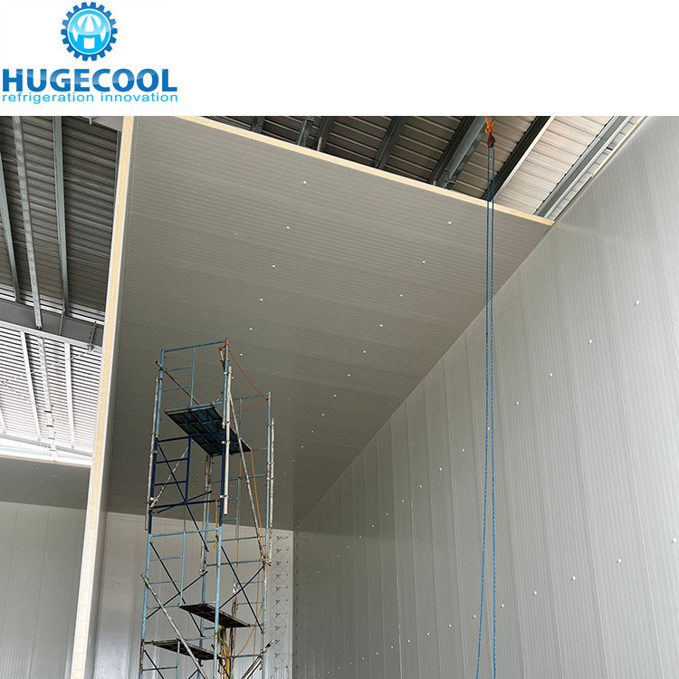 Customizable Cold/Cooler/Chiller Storage Room Temperature -10-0C Customized Request