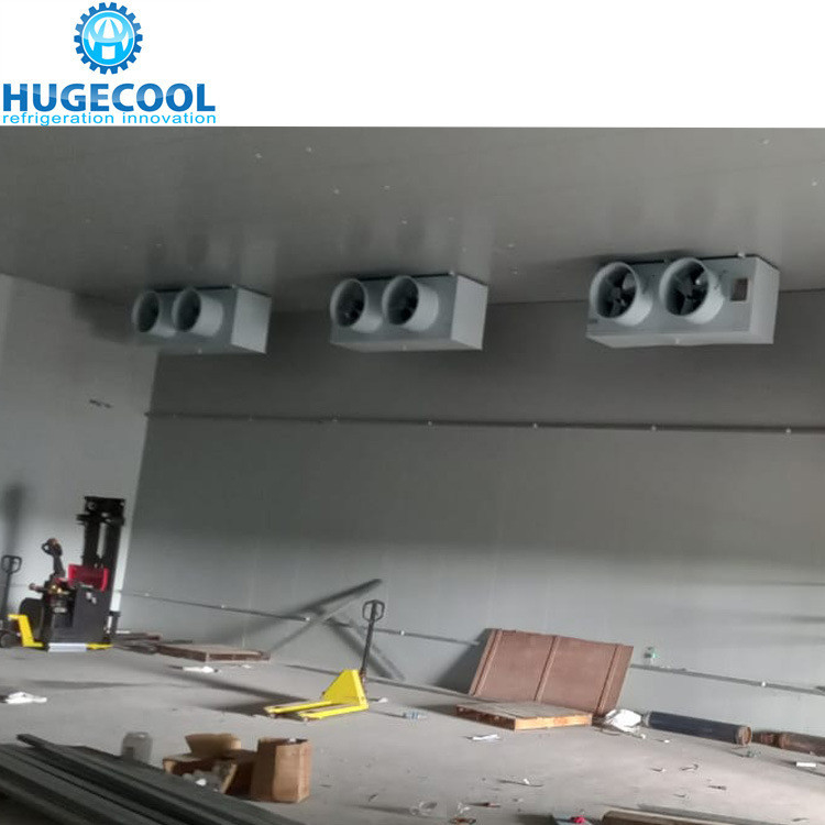 Assembled Cold Storage Chiller/Cooler/Freezer Room with Condensing Unit Compressor