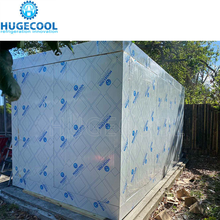 Assembled Cold Storage Chiller/Cooler/Freezer Room with Condensing Unit Compressor