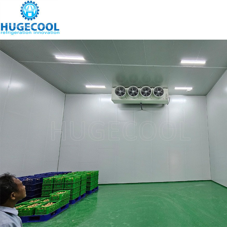 Assembled Cold Storage Chiller/Cooler/Freezer Room with Condensing Unit Compressor
