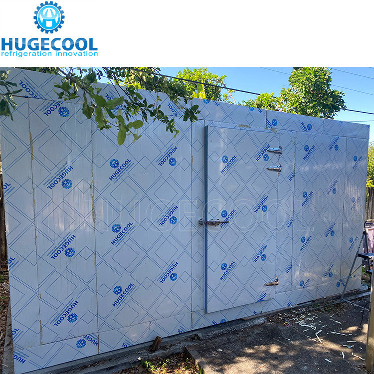 Assembled Cold Storage Chiller/Cooler/Freezer Room with Condensing Unit Compressor
