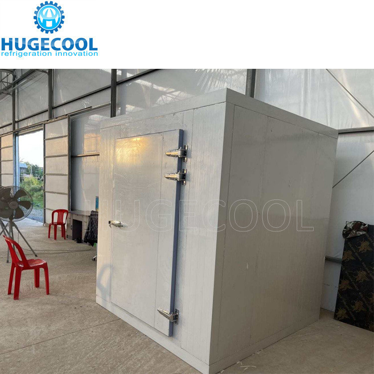 Assembled Cold Storage Chiller/Cooler/Freezer Room with Condensing Unit Compressor
