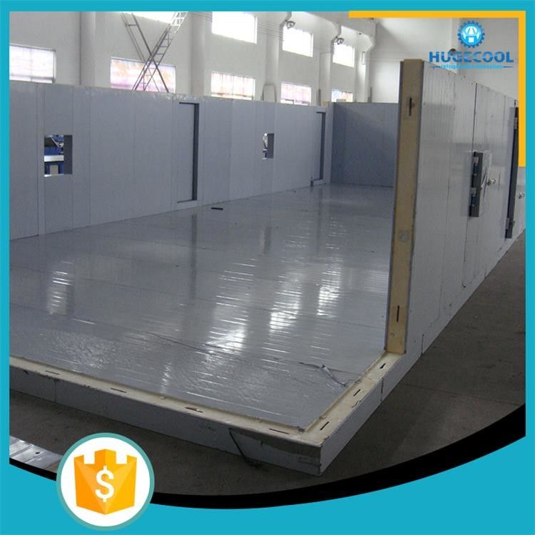 Fire Proof Modular Freezer Cold Room Perfect Heat Insulation For Frozen Fish
