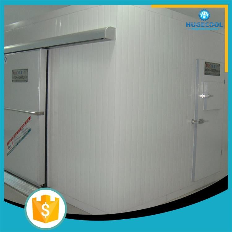 Supermarket chest freezer cold room storage