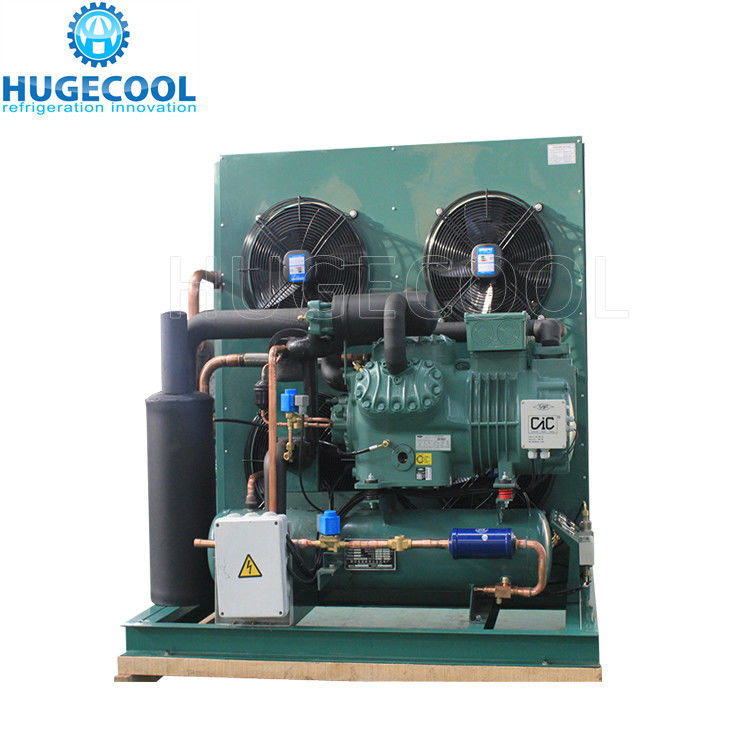 Blue Fin Condensing Unit For Freezer Room