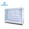 Single Temperature Glass Display Freezer Customized Capacity For C - Store